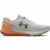 imgi_43_running-shoes-for-adults-under-armour-rogue-3-grey-lady_497929